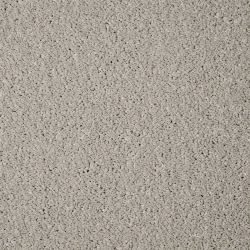 Primo Grande 11.4mm Polypropylene Carpet - Alloy Grey