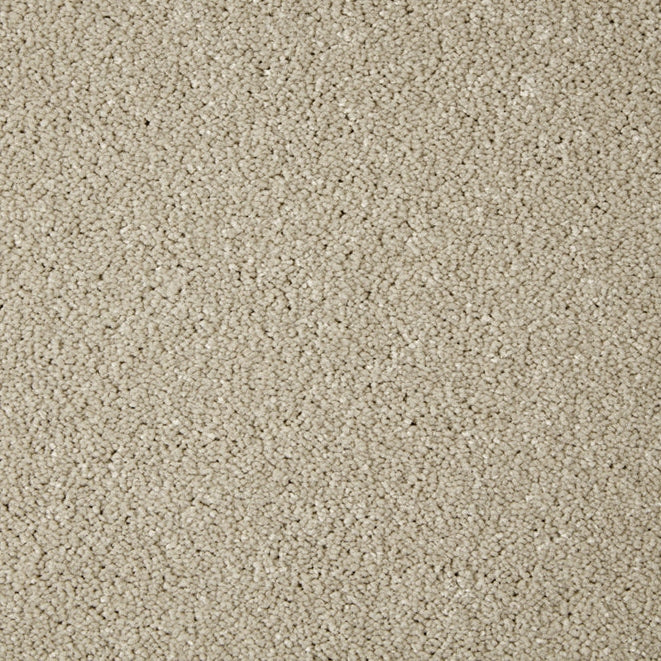Primo Grande 11.4mm Polypropylene Carpet - Cloudy Bay