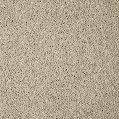 Primo Grande 11.4mm Polypropylene Carpet - Cloudy Bay