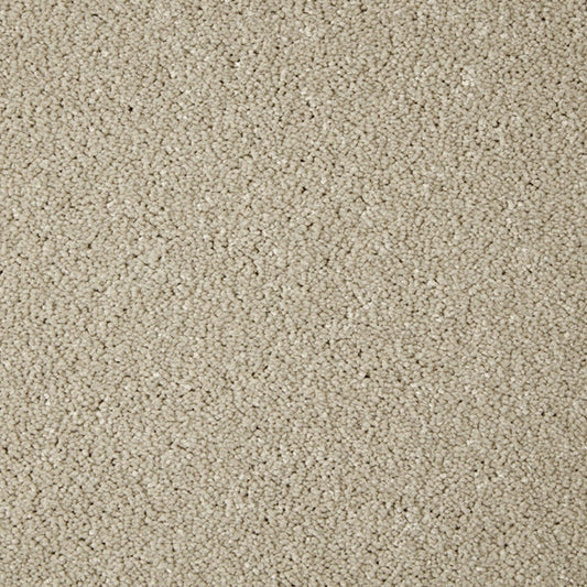 Primo Grande 11.4mm Polypropylene Carpet - Cloudy Bay