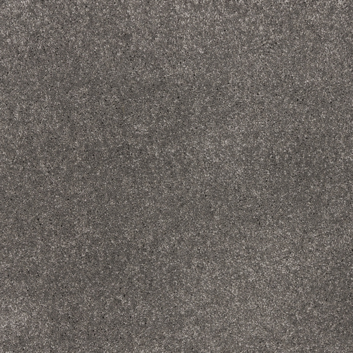 Dreamy Delight 19.5mm Deep Pile Saxony Carpet - Shadow 977