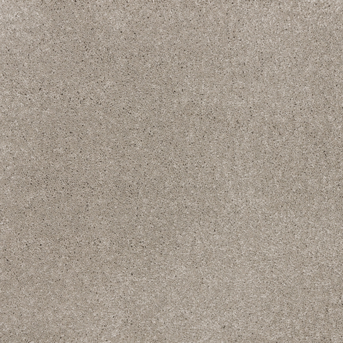 Dreamy Delight 19.5mm Deep Pile Saxony Carpet - Stone 972