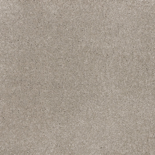 Dreamy Delight 19.5mm Deep Pile Saxony Carpet - Stone 972