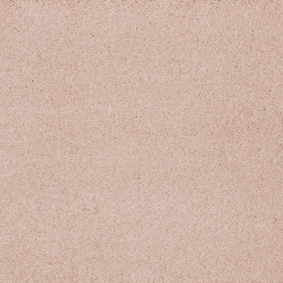 Dreamy Delight 19.5mm Deep Pile Saxony Carpet - Sweet Embrace 911