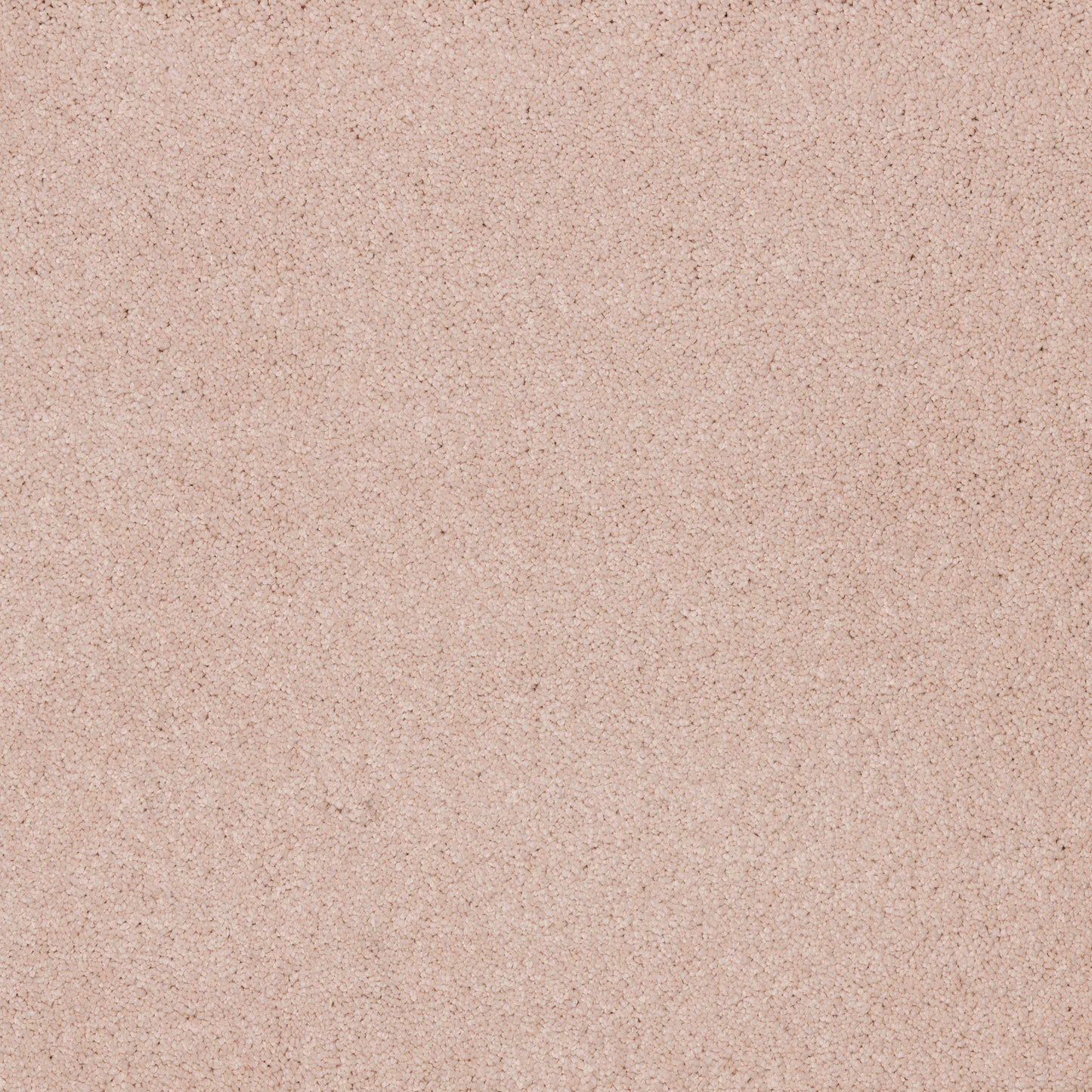 Dreamy Delight 19.5mm Deep Pile Saxony Carpet - Sweet Embrace 911